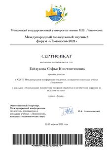 Сертификат участника Гайдуковой С.К.